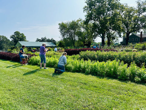 Advanced Herbalism Class (Private Class)