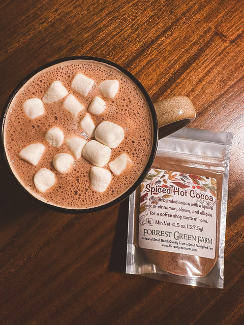 Spiced Hot Cocoa