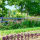 Get Gardening! Workshop Series