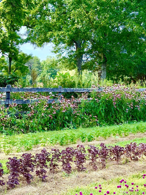 Get Gardening! Workshop Series