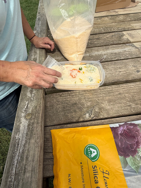 Flora in Focus: Educational Herbarium Experience (Past Whole Living Class Participants Only)