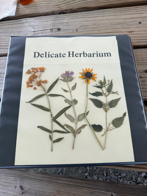 Flora in Focus: Educational Herbarium Experience (Past Whole Living Class Participants Only)