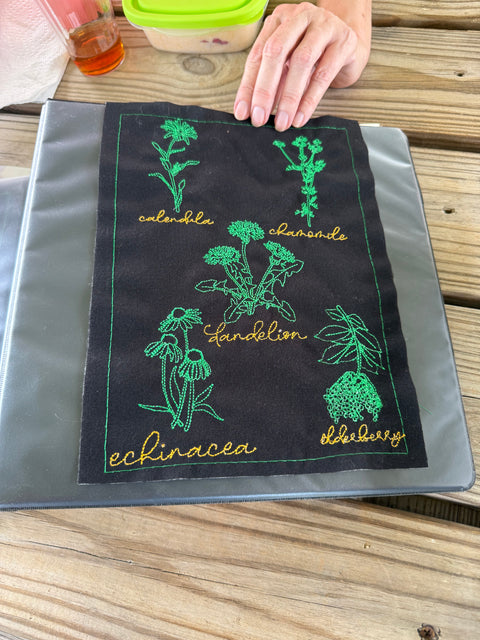 Flora in Focus: Educational Herbarium Experience (Past Whole Living Class Participants Only)
