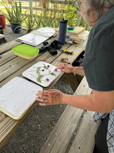 Flora in Focus: Educational Herbarium Experience (Past Whole Living Class Participants Only)