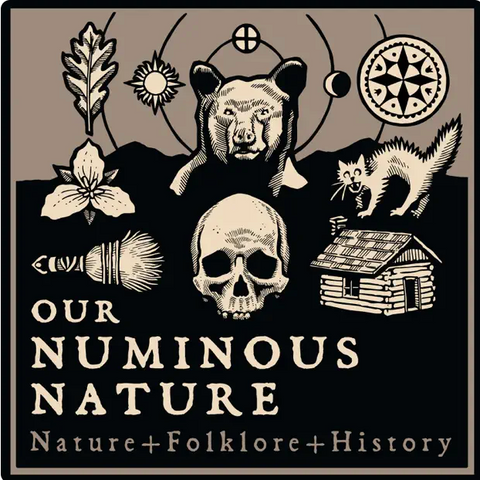 Our Numinous Nature