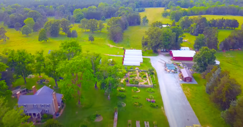 Farm Tour: Forrest Green Farm in 4K