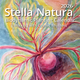 Stella Natura 2026 Biodynamic Planting Calendar