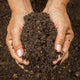 The Importance of Soil Workshop