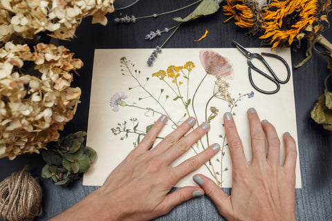 Make Your Own Herbarium!